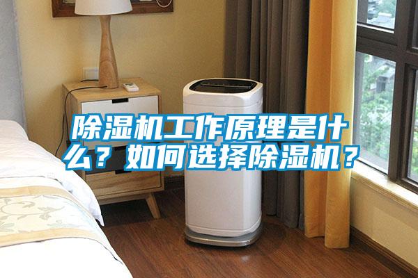除濕機工作原理是什么?如何選擇除濕機?