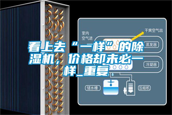 看上去“一樣”的除濕機,價格卻未必一樣_重復