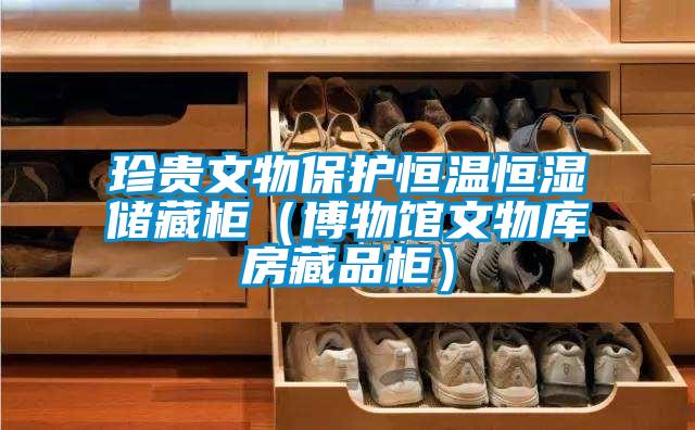 珍貴文物保護(hù)恒溫恒濕儲(chǔ)藏柜(博物館文物庫房藏品柜)