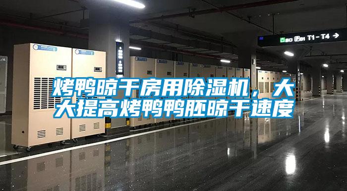 烤鴨晾干房用除濕機,大大提高烤鴨鴨胚晾干速度