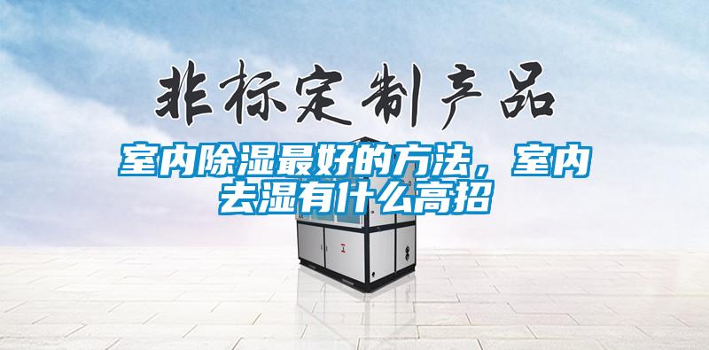 室內除濕最好的方法，室內去濕有什么高招