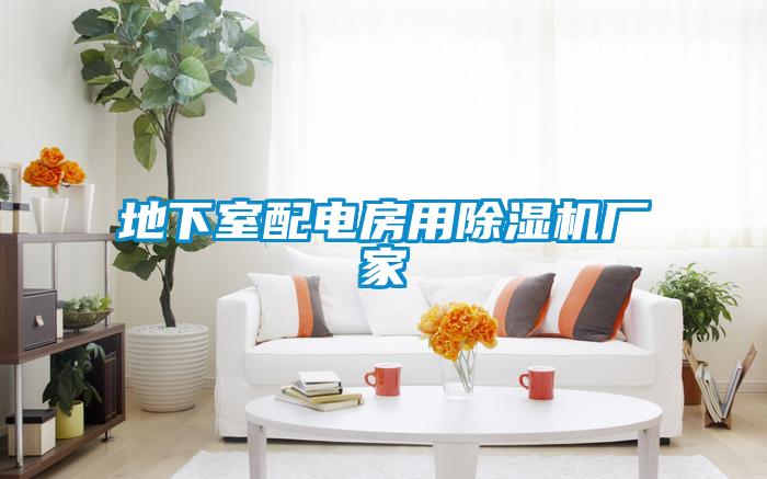 地下室配電房用除濕機廠家