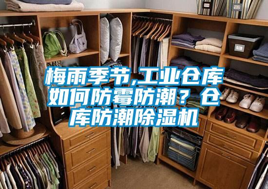 梅雨季節(jié),工業(yè)倉庫如何防霉防潮?倉庫防潮除濕機(jī)