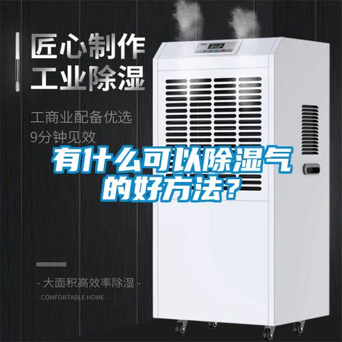 有什么可以除濕氣的好方法？