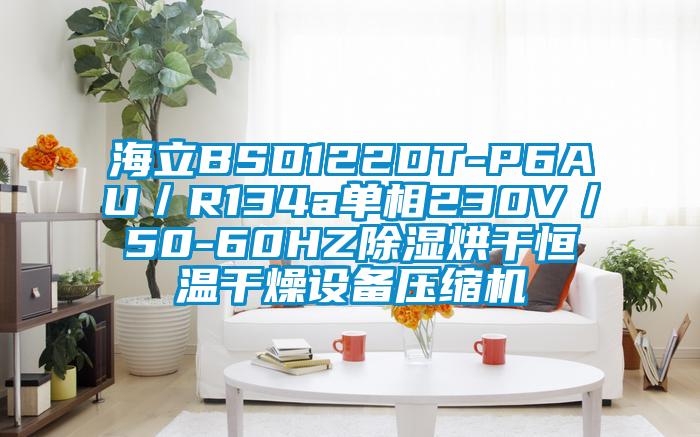 海立BSD122DT-P6AU／R134a單相230V／50-60HZ除濕烘干恒溫干燥設備壓縮機