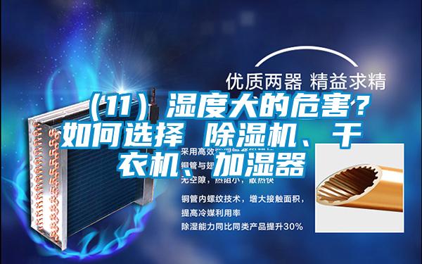 （11）濕度大的危害？如何選擇 除濕機(jī)、干衣機(jī)、加濕器