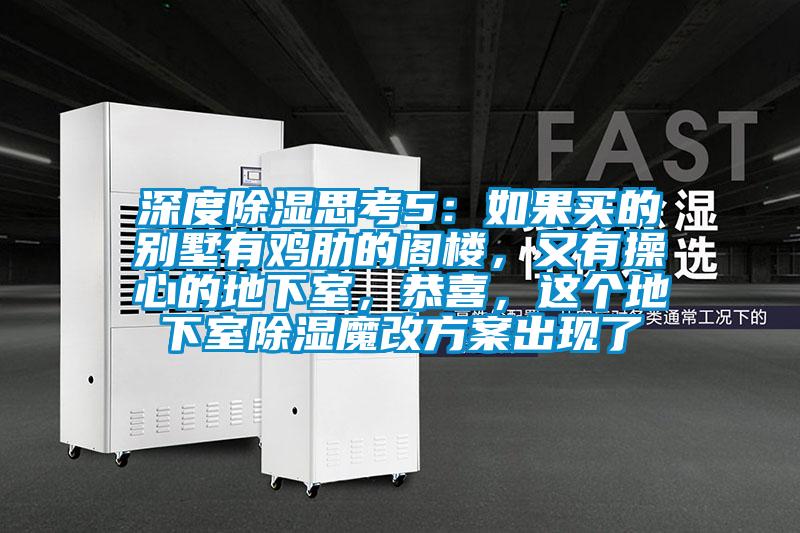 深度除濕思考5：如果買的別墅有雞肋的閣樓，又有操心的地下室，恭喜，這個(gè)地下室除濕魔改方案出現(xiàn)了