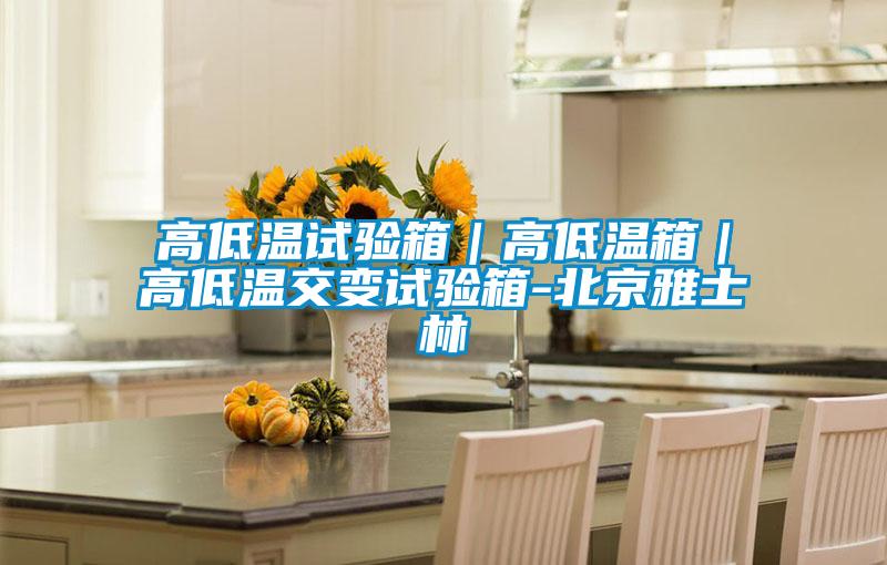 高低溫試驗(yàn)箱|高低溫箱|高低溫交變試驗(yàn)箱-北京雅士林
