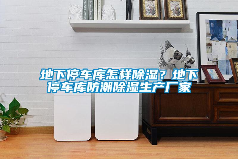 地下停車庫(kù)怎樣除濕？地下停車庫(kù)防潮除濕生產(chǎn)廠家