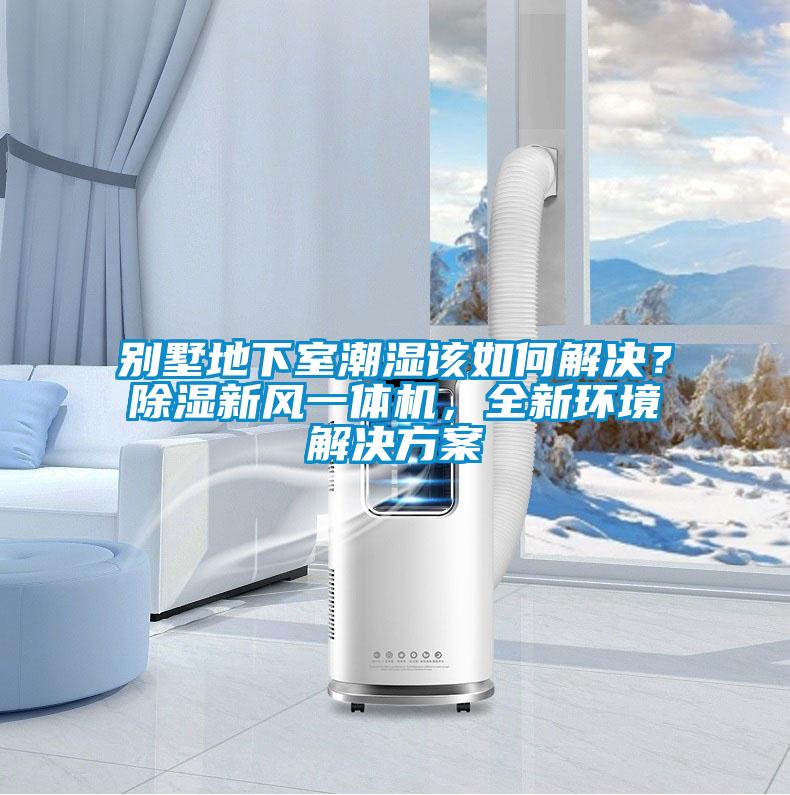 別墅地下室潮濕該如何解決？除濕新風(fēng)一體機，全新環(huán)境解決方案