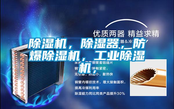 除濕機(jī),除濕器,防爆除濕機(jī),工業(yè)除濕機(jī),