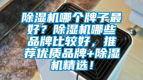 除濕機哪個牌子最好？除濕機哪些品牌比較好，推薦優(yōu)質(zhì)品牌+除濕機精選！