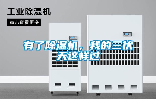 有了除濕機，我的三伏天這樣過