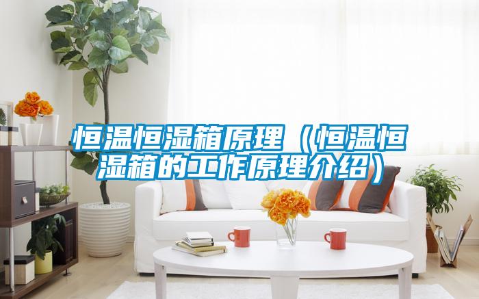 恒溫恒濕箱原理(恒溫恒濕箱的工作原理介紹)
