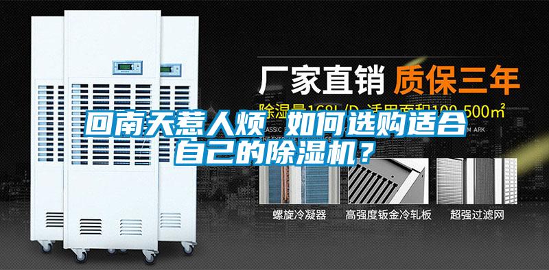 回南天惹人煩 如何選購適合自己的除濕機？