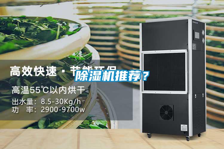 除濕機(jī)推薦?