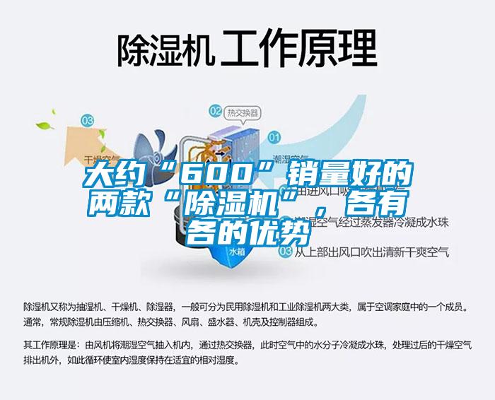 大約“600”銷量好的兩款“除濕機(jī)”,各有各的優(yōu)勢(shì)