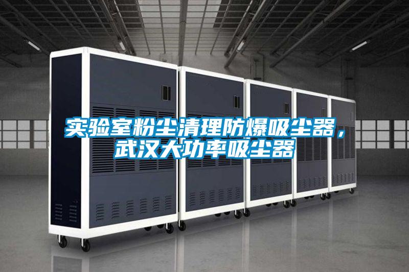 實驗室粉塵清理防爆吸塵器，武漢大功率吸塵器