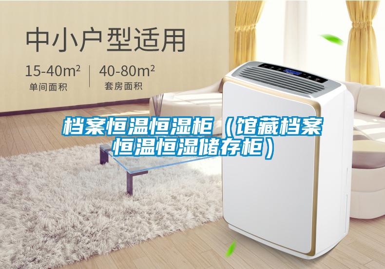 檔案恒溫恒濕柜(館藏檔案恒溫恒濕儲存柜)