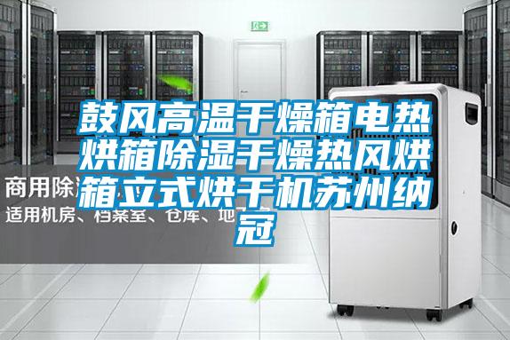 鼓風(fēng)高溫干燥箱電熱烘箱除濕干燥熱風(fēng)烘箱立式烘干機蘇州納冠