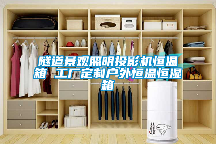 隧道景觀(guān)照明投影機(jī)恒溫箱 工廠(chǎng)定制戶(hù)外恒溫恒濕箱