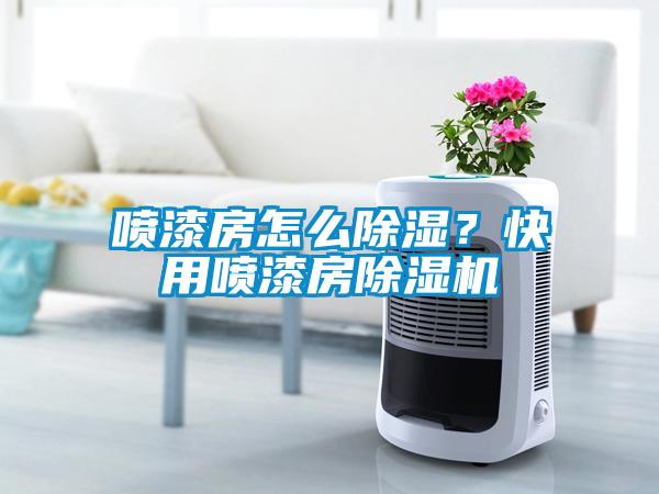 噴漆房怎么除濕？快用噴漆房除濕機