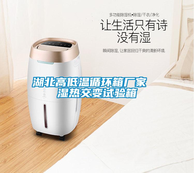 湖北高低溫循環(huán)箱廠家 濕熱交變?cè)囼?yàn)箱