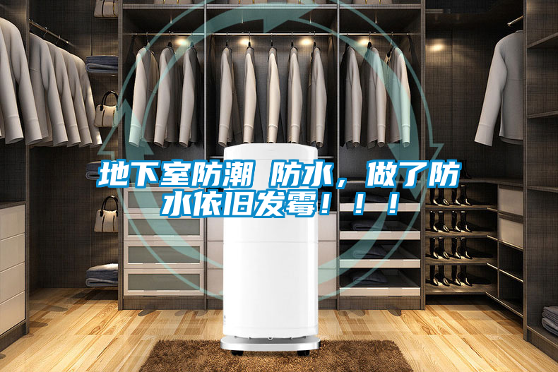 地下室防潮≠防水，做了防水依舊發霉！??！