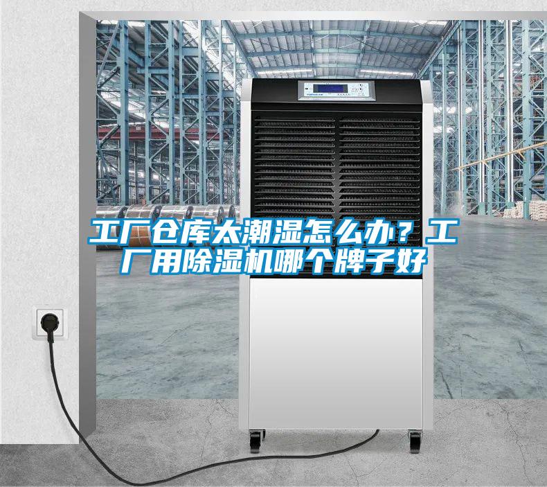 工廠倉庫太潮濕怎么辦？工廠用除濕機哪個牌子好