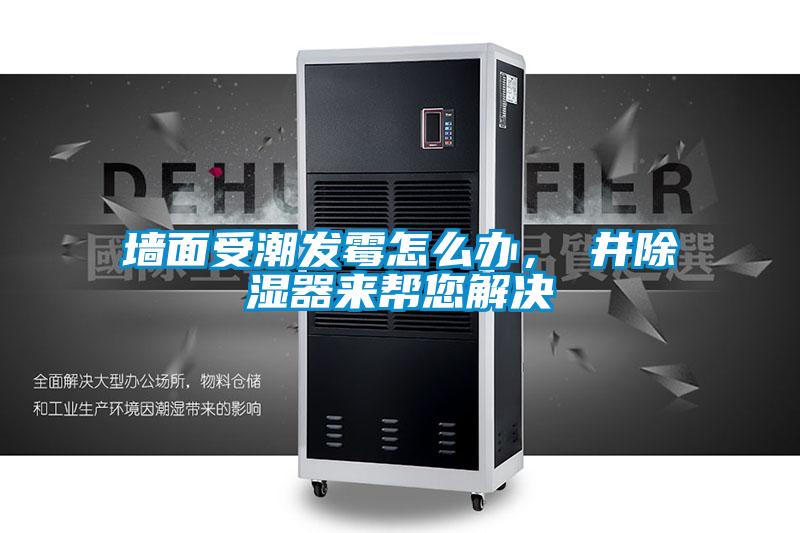 墻面受潮發(fā)霉怎么辦，東井除濕器來幫您解決