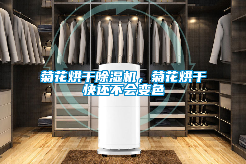 菊花烘干除濕機，菊花烘干快還不會變色