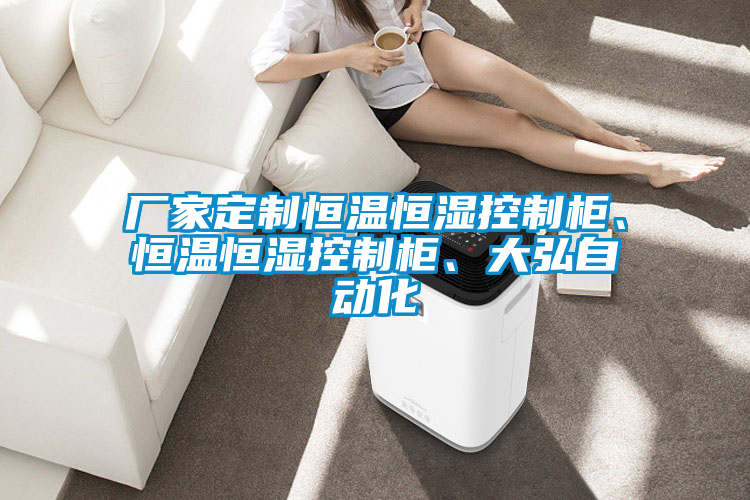 廠家定制恒溫恒濕控制柜、恒溫恒濕控制柜、大弘自動化