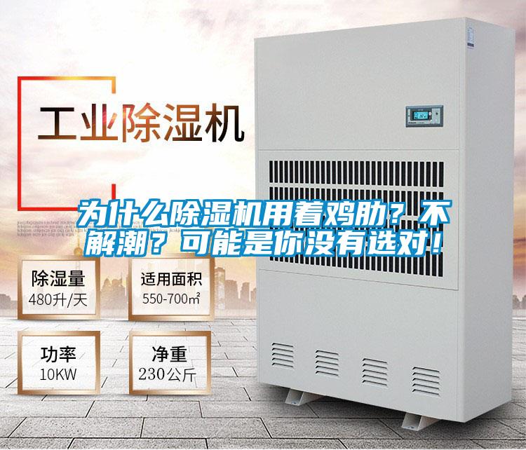 為什么除濕機用著雞肋？不解潮？可能是你沒有選對！