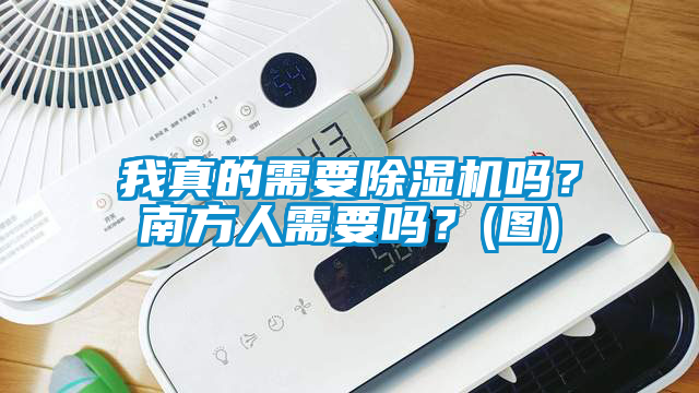 我真的需要除濕機嗎？南方人需要嗎？(圖)
