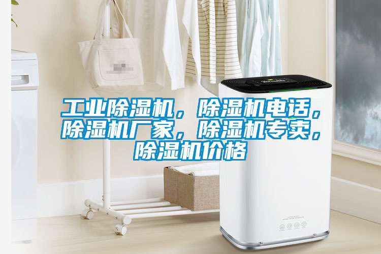 工業除濕機，除濕機電話，除濕機廠家，除濕機專賣，除濕機價格