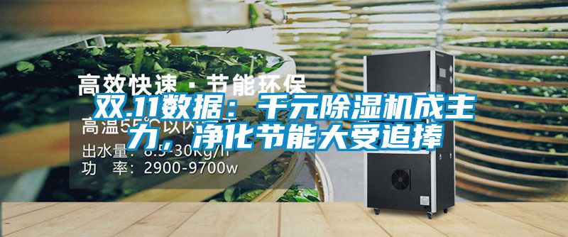 雙.11數據：千元除濕機成主力，凈化節(jié)能大受追捧