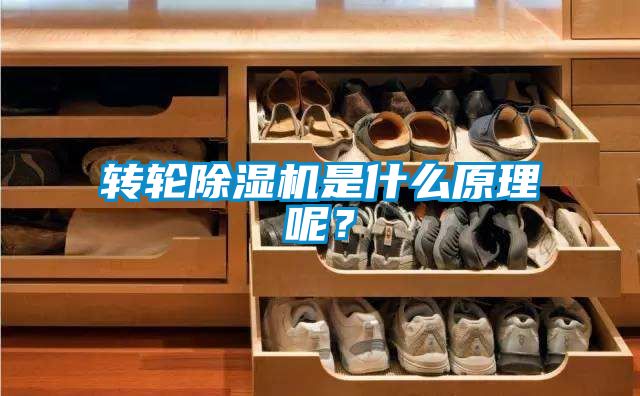 轉(zhuǎn)輪除濕機是什么原理呢?