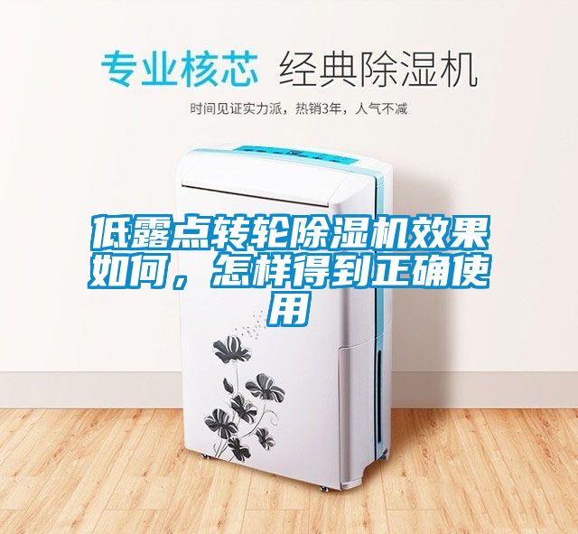 低露點(diǎn)轉(zhuǎn)輪除濕機(jī)效果如何,怎樣得到正確使用