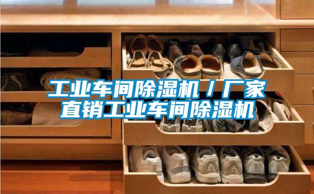 工業車間除濕機/廠家直銷工業車間除濕機