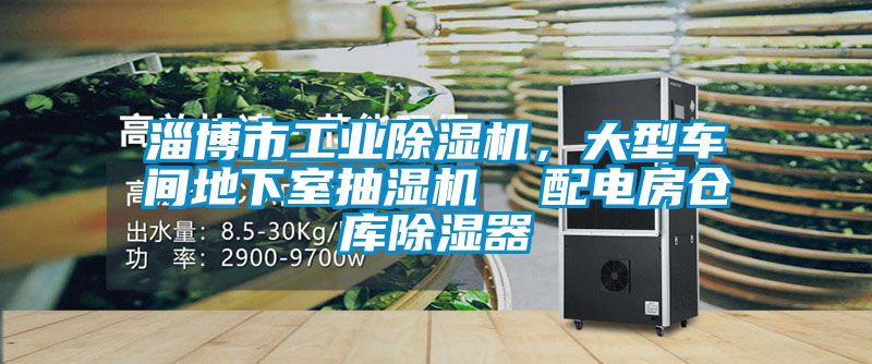 淄博市工業(yè)除濕機,大型車間地下室抽濕機 配電房倉庫除濕器