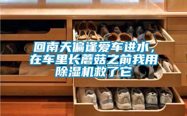回南天偏逢愛車進水,在車里長蘑菇之前我用除濕機救了它