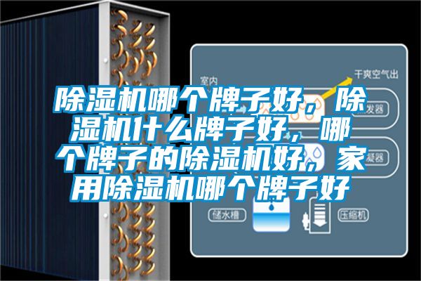 除濕機哪個牌子好,除濕機什么牌子好,哪個牌子的除濕機好,家用除濕機哪個牌子好