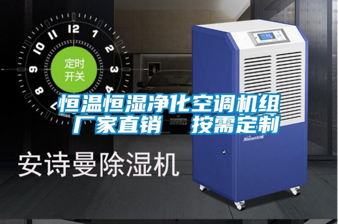 恒溫恒濕凈化空調機組 廠家直銷 按需定制