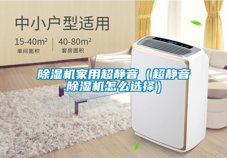 除濕機(jī)家用超靜音(超靜音除濕機(jī)怎么選擇)