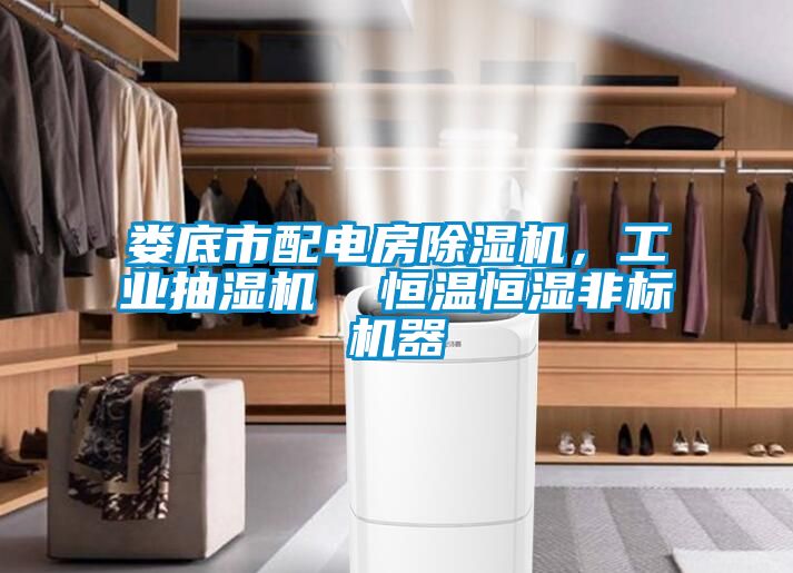 婁底市配電房除濕機，工業抽濕機  恒溫恒濕非標機器
