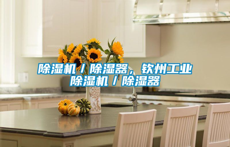 除濕機(jī)／除濕器，欽州工業(yè)除濕機(jī)／除濕器