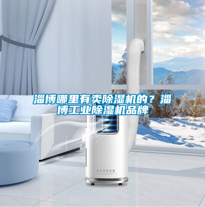 淄博哪里有賣除濕機的？淄博工業除濕機品牌
