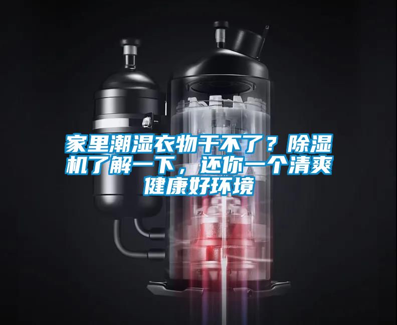 家里潮濕衣物干不了?除濕機了解一下,還你一個清爽健康好環境