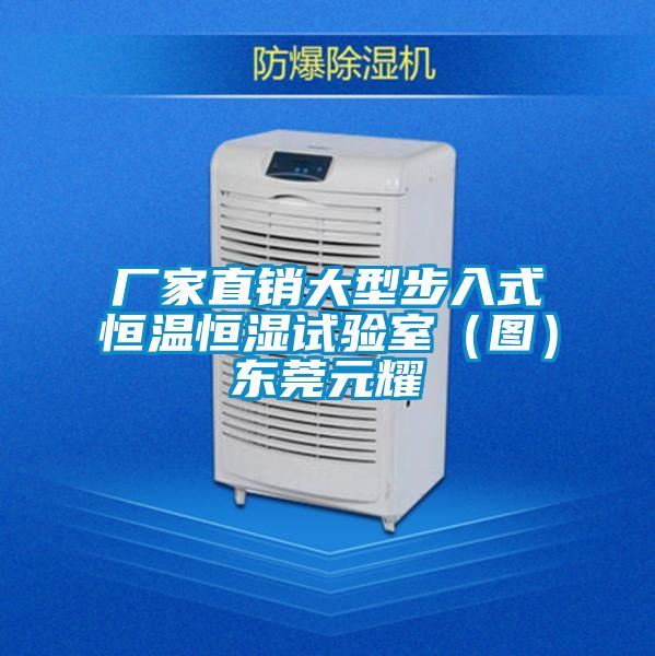 廠家直銷(xiāo)大型步入式恒溫恒濕試驗(yàn)室（圖）東莞元耀