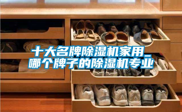 十大名牌除濕機(jī)家用_哪個牌子的除濕機(jī)專業(yè)